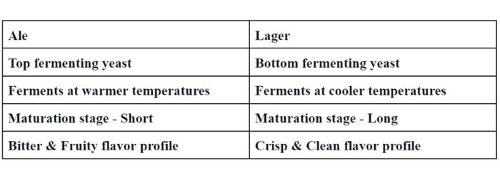 Ale vs. Lager